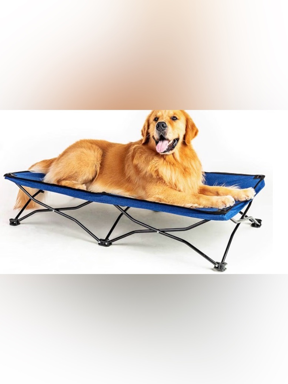 Indoor/Outdoor Elevated Dog Cot/ Bed for Large Dogs, 47 inches